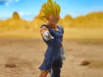 Dragon Ball Z Ichibansho Majin Vegeta Vs Omnibus Ultra