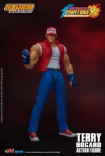 Terry Bogard - Imagen 2