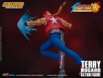 Terry Bogard - Imagen 11
