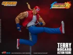 Terry Bogard - Imagen 15