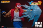 Terry Bogard - Imagen 17