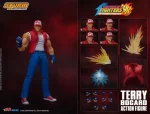 Terry Bogard - Imagen 19