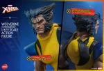 Marvel Comics HS06 Wolverine Unmasked 1/6th Scale Collectible Figure - Imagen 18