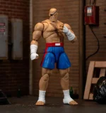 Ultra Street Fighter II The Final Challengers Sagat - Imagen 10