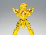 Saint Seiya Myth Cloth EX Aquarius Hyoga Inheritor of the Gold Cloth