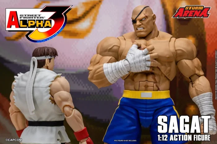 Street Fighter Alpha 3 Storm Arena Sagat 1/12 - Imagen 23