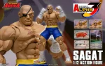 Street Fighter Alpha 3 Storm Arena Sagat 1/12 - Imagen 25