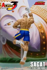 Street Fighter Alpha 3 Storm Arena Sagat 1/12 - Imagen 4