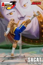 Street Fighter Alpha 3 Storm Arena Sagat 1/12 - Imagen 3