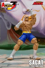 Street Fighter Alpha 3 Storm Arena Sagat 1/12 - Imagen 7