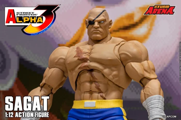 Street Fighter Alpha 3 Storm Arena Sagat 1/12 - Imagen 21