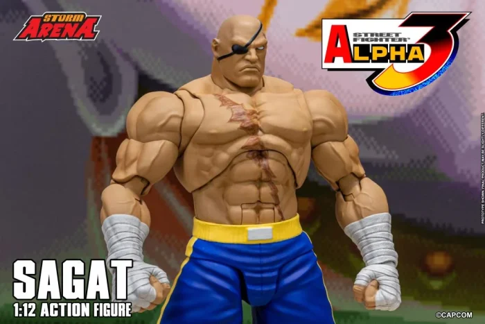 Street Fighter Alpha 3 Storm Arena Sagat 1/12