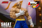 Street Fighter Alpha 3 Storm Arena Sagat 1/12 - Imagen 22