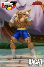 Street Fighter Alpha 3 Storm Arena Sagat 1/12 - Imagen 13