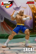 Street Fighter Alpha 3 Storm Arena Sagat 1/12 - Imagen 10
