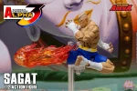 Street Fighter Alpha 3 Storm Arena Sagat 1/12 - Imagen 18