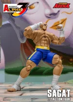 Street Fighter Alpha 3 Storm Arena Sagat 1/12 - Imagen 6