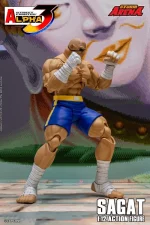 Street Fighter Alpha 3 Storm Arena Sagat 1/12 - Imagen 5