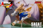 Street Fighter Alpha 3 Storm Arena Sagat 1/12 - Imagen 14