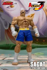Street Fighter Alpha 3 Storm Arena Sagat 1/12 - Imagen 8