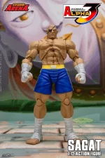 Street Fighter Alpha 3 Storm Arena Sagat 1/12 - Imagen 2