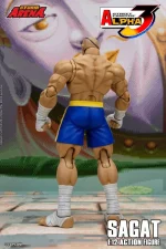 Street Fighter Alpha 3 Storm Arena Sagat 1/12 - Imagen 9
