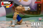 Street Fighter Alpha 3 Storm Arena Sagat 1/12 - Imagen 17