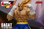 Street Fighter Alpha 3 Storm Arena Sagat 1/12 - Imagen 24