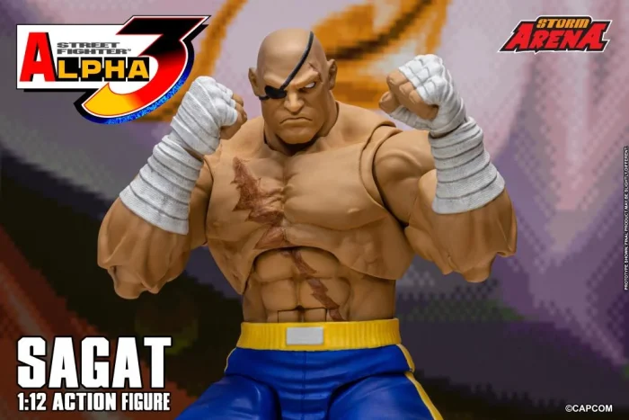 Street Fighter Alpha 3 Storm Arena Sagat 1/12 - Imagen 24