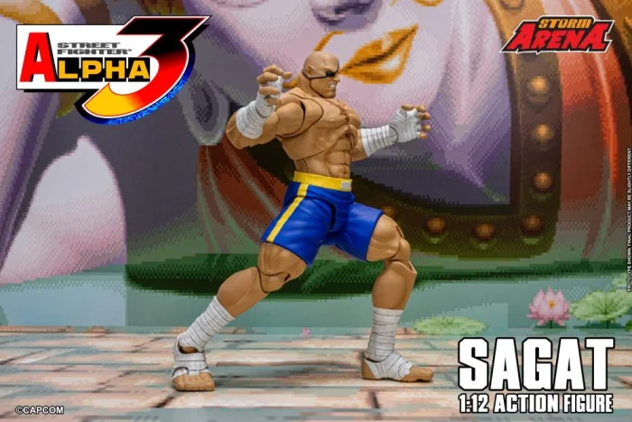 Street Fighter Alpha 3 Storm Arena Sagat 1/12 - Imagen 15