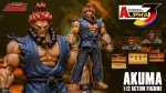 Street Fighter Alpha 3 Storm Arena Akuma 1/12 - Imagen 22